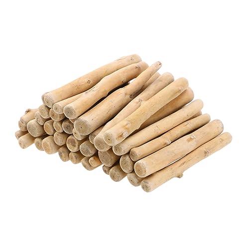 FONDOTIN 500 g Antiseptischer Naturholzstab 10 cm Treibholz Dekoration Holzpflanze Ornament Für Modernes Wohnzimmer Vielseitige Holzdeko Für Kreative Bastelprojekte von FONDOTIN