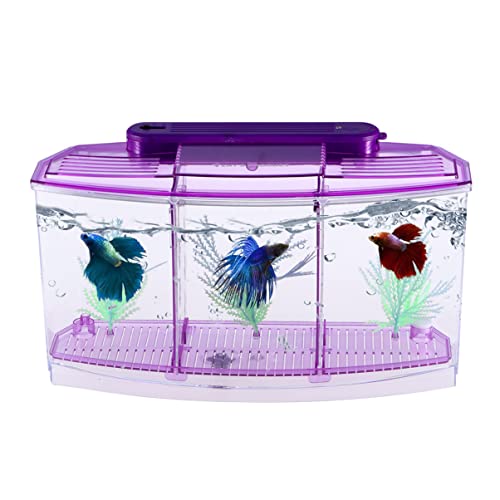 FONDOTIN Selbstreinigendes Mini-Fisch-Aquarium mit violettem Design, Dekoration für Zuhause und Büro von FONDOTIN