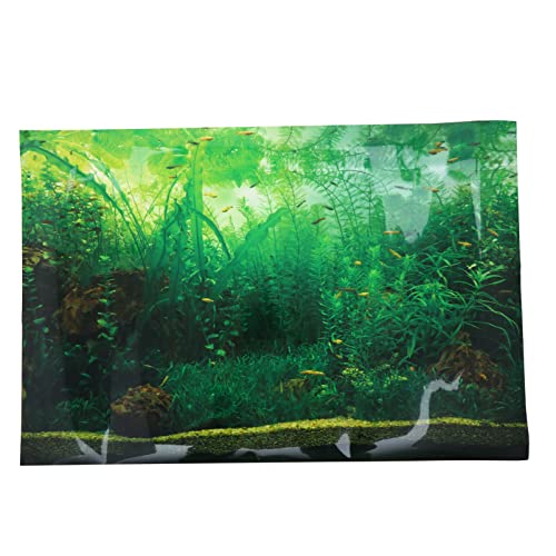 FONDOTIN Aquarium Hintergrundpapier Tank Halter Aquarium-hintergrundplakat Aquarium Licht Kleiner Fisch Zubehör Für Tropische Aquarien Aquarium-Plakat Anlage Aquarienfilter Meeresaufkleber von FONDOTIN