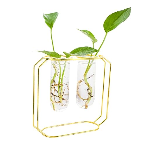 FONDOTIN Eisenrahmen Blumentopf Set Stilvolle Metallvase Für Pflanzenarrangements 2 Teiliges Glasgefäß Für Dekoration Im Wohnzimmer Und Büro Terrarium Blumentopf Für Tischdeko von FONDOTIN