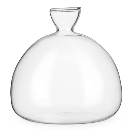 FONDOTIN Glasblumenvase Transparent Runde Vase Für Pflanzen Terrarium Deko Für Zuhause Wohnzimmer Und Hochzeiten Stilvolle Pflanzvase Ideal Für Wasserpflanzen Und Blumenarrangements von FONDOTIN