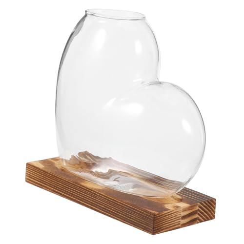 FONDOTIN Hydroponische Vase Blumentopf Wasserflaschenvase Bürovasen Zimmerpflanzen Fenstervase Rahmenvase Blumenvase Grüne Vase Innenvase Schreibtischvase Heimvase Holz Transparent von FONDOTIN