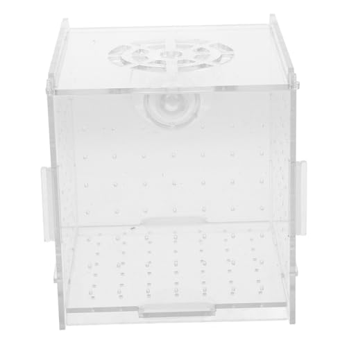 FONDOTIN Kasten Isolationsbox Für Aquarien Aquarium-trennwand Zuchtnetz Für Aquarium Fischzuchtbecken Isolationsnetz Für Aquarien Isoliertes Fischbecken Garnelenzucht Transparent Acryl von FONDOTIN