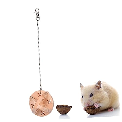 FONDOTIN Kugelspielzeug Für Hamster Bälle Spielen Kätzchen Bälle Hamsterglockenkugeln Bambus Meerschweinchen Rasselspielzeugball Für Katze von FONDOTIN