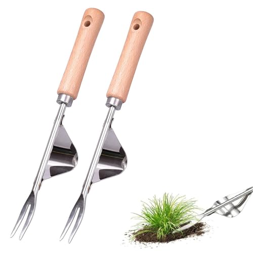 FONWUJIOT 2 Stück Unkrautstecher Edelstahl, Manueller Unkrautjäter, Garten Unkraut Stecher, Unkrautsteche mit Holzgriff, Unkrautausstecher für Zum Gartengraben, Jäten, Umpflanzen von FONWUJIOT