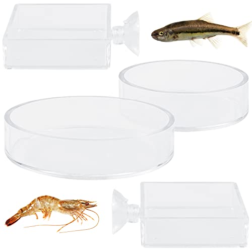 FORYNXHWIN 4 Stück Aquarium Garnelen Feeder,Garnelen Futterschale,Acryl Fisch Futternapf, Schüssel Fütterung für Aquarien (2 Runden und 2 Quadrate) von FORYNXHWIN