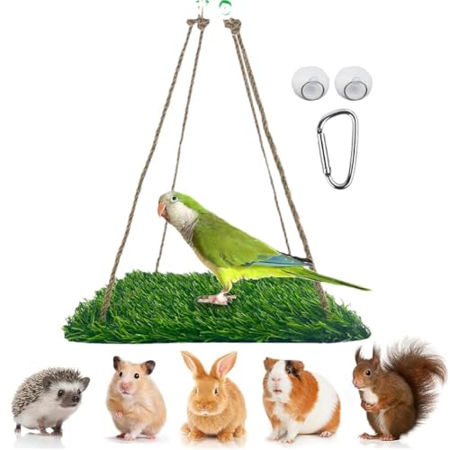 Bird Toys Hängematte Schaukel Hängebett Tragbares Graspolster Klettern Hängende Hängematte für Reptilien Bartdrache Leopard Gecko Eidechse Hamster Leguan (quadratisch) von FORZENA