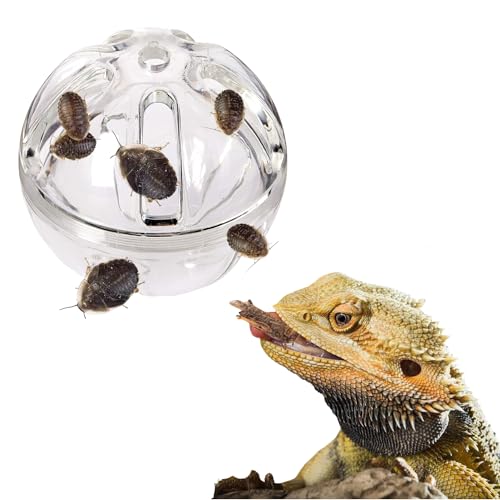 FORZENA Bartagamen-Futterspender für Reptilien, Futterball, Eidechsenanreicherung, interaktives Spielzeug, Reptilien-Terrarium, Tankdekoration für Eidechse, Chamäleon, Kleintiere (8,6 cm) von FORZENA