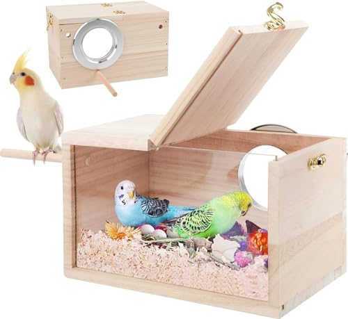 Nistkasten aus Naturholz für Sittiche, transparentes Design, Brutkasten mit Sitzstange, Holz, Vogelkäfighaus für Nymphensittiche, Lovebirds Wellensittiche, Finken, Papageien, Kanarienvögel (klein) von FORZENA