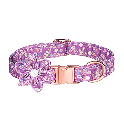 FOReverweihuajz Haustier-Hundehalsband, Blumenmuster, verstellbar, abnehmbar, Hundehalsband, Haustier-Dekoration, Haustier-Produkte von FOReverweihuajz