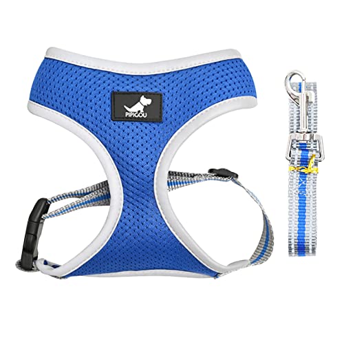 FOReverweihuajz Welpen Geschirr Atmungsaktiv Mesh Hund Outdoor Weste Harness Nicht klebrige Haars CHN Allen Design Blau L von FOReverweihuajz