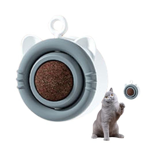 FOUNCY Katzenminze-Spielzeug für Katzen – Hygienische, rotierende Katzenminze, austauschbar mit Aufhängerloch, interaktives Spielzeug für Wohnzimmer, Schlafzimmer, Tierheim, Arbeitszimmer, Katzenhaus von FOUNCY