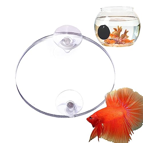 FOUNCY Übung für Aquarium – schwimmendes doppelseitiges Fischglas – lustige Aquarium-Dekoration für Aquarium, Haus und Wohnzimmer von FOUNCY