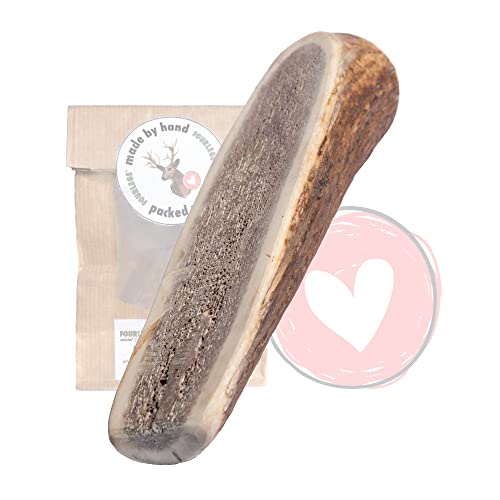 FOURLEGS® natürlicher Kausnack für Hunde aus 100% Hirschgeweih - Mineralstoffe, Kauspielzeug, Kaustange, Wildgeschmack, Geweih, Knochen, Hirsch, Kauartikel - Größe XL halbiert von FOURLEGS