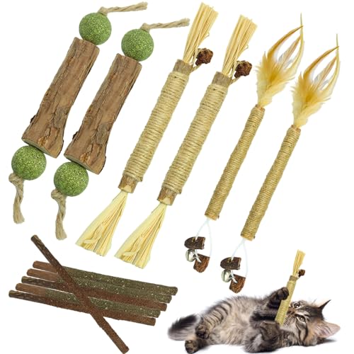 FOWSRHRG 12-teiliges Katzenminze-Kauspielzeug-Set für Katzen, natürliche Silvervine Zahnstäbe für Katzen, Kätzchen-Zahnreinigung, Leckerli-Spielzeug für Indoor-Katzen, interaktives Appetitlinderung, von FOWSRHRG