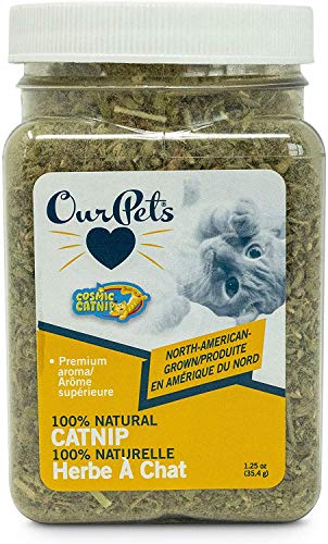 OurPets PREMIUM North-American Grown Catnip 1.25 ounce Jar for Cats - 3 Pack von FOXCUP