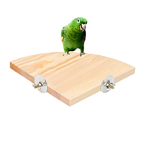 FPGEAR Papageien-Ständerspielzeug, Perch Bird Holz-Sprungbrett-Ständerplattfor, Übungskäfig-Zubehör, Vogelständer, Sitzstangenregal für Igel, Finken, Wellensittiche, Sittiche, Nymphensittiche von FPGEAR