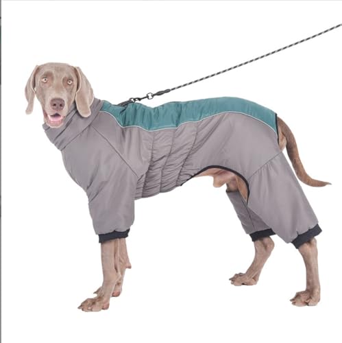 FQDZ Hochwertige Hundekleidung für mittelgroße und große Hunde: Vierbeiner-Outfit aus Baumwolle mit hohem Kragen, perfekt für Golden Retriever, Labrador und mehr (Grün, 6XL) von FQDZ