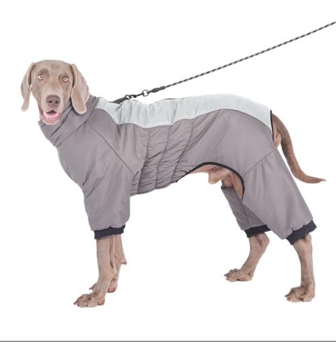 FQDZ Premium Hundekleidung für mittelgroße und große Hunde: Vierbeiner-Outfit aus Baumwolle mit hohem Kragen, perfekt für Golden Retriever, Labrador und mehr (Hellblau, 4XL) von FQDZ