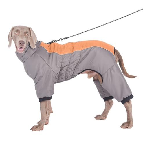 FQDZ Premium Hundekleidung für mittelgroße und große Hunde: Vierbeiner-Outfit aus Baumwolle mit hohem Kragen, perfekt für Golden Retriever, Labrador und mehr (Hellbraun, 4XL) von FQDZ