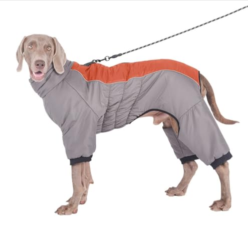 FQDZ Premium Hundekleidung für mittelgroße und große Hunde: Vierbeiner-Outfit aus Baumwolle mit hohem Kragen, perfekt für Golden Retriever, Labrador und mehr (Orange, 4XL) von FQDZ