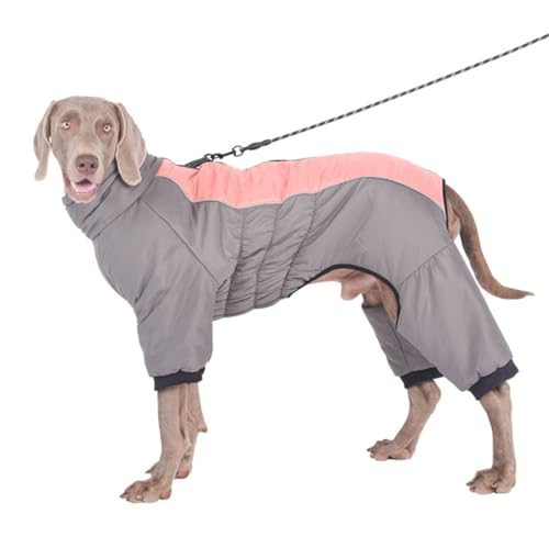 FQDZ Premium Hundekleidung für mittelgroße und große Hunde: Vierbeiner-Outfit aus Baumwolle mit hohem Kragen, perfekt für Golden Retriever, Labrador und mehr (Rosa, 6XL) von FQDZ