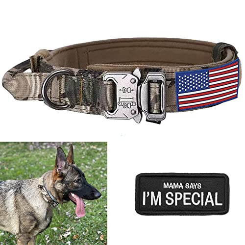 FQQF Large Tactical Military Dog Collar K9 - Heavy Duty Dog Collar with Handle, Camo Dog Collar for German Shepherd Medium (Medium, Gray Camo) von QIFBYFB