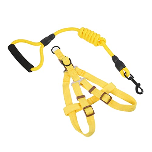 FRCOLOR Lieferungen 1 Satz Haustierleine Hundehalsband Nylon-Hund Für Hunde Hundetraining Hundebrustgurt Aus Nylon Trainingsleine Für Haustiere Seil Leine Eva Reisen Hundeleine Hündchen von FRCOLOR