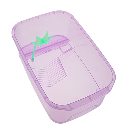 FRCOLOR 1 Set-Box Schildkrötenbecken Eidechsenbecken Fischträger Tragbares Aquarium Kleiner Panzer Grillenhalter Für Reptilien Schlangenträger Mini Reisen Violett Plastik Inkubator von FRCOLOR