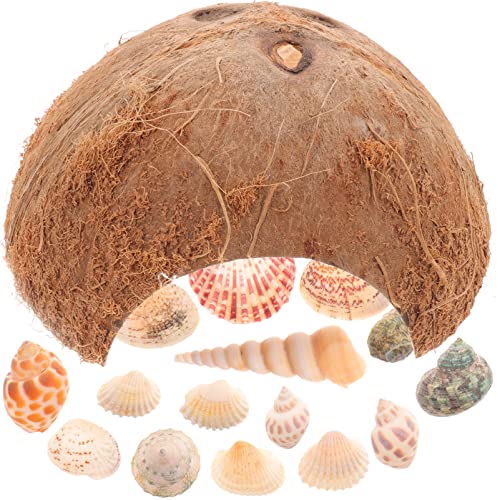 FRCOLOR 1 Set Klettern Haustier Kokosnussschale Lebende Landschnecken Schale Hütte Hamster Ornament Garnelen Unterschlupf Aquarium 10 Gallonen Tankdeckel Verstecke Eidechsenhütte von FRCOLOR