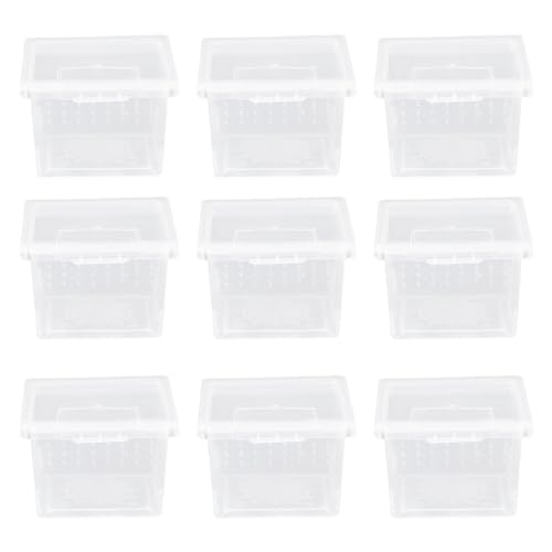 FRCOLOR 10pcs Box Reptilien Futterbox Tarantel Gehege Reptilien Schlüpfen Tablett Reptilien Tank Taranteln Frösche Schildkröten Träger Schnecke Gehäuse Reptilien Futterbox Clamshell PP Eidechse von FRCOLOR