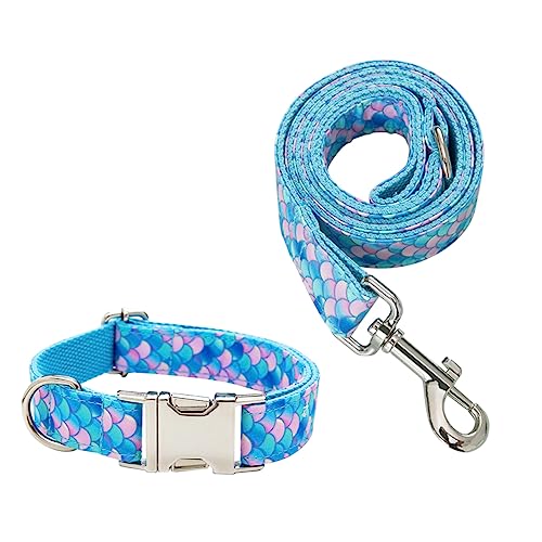 FRCOLOR 1Stk Leine Hundegeschirr für Hunde großer Rassen Hundehalsbänder für mittelgroße Hunde Gürtel Welpe Haustierzubehör Nylongeschirr der Hund Gurt Kettenblatt Halsband von FRCOLOR