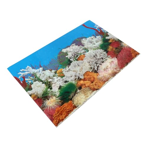 FRCOLOR 1stk Aufkleber Für Aquarien Fotografie Im Korallenaquarium Aquarium-korallenkulisse Unter Dem Meer Wandbild Aquarium Dekoratives Bild Korallenriff Dickfilmpapier Glas 3D Lipgloss von FRCOLOR