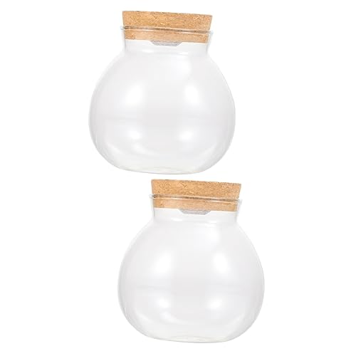 FRCOLOR 2st Landschaftsflasche Große Terrariengläser Glasterrarien Für Pflanzen Mikroökologische Flasche Für Kleine Terrarienleuchte Kleines Glas Weiß Glas Mit Hohem Borosilikatgehalt Mini von FRCOLOR