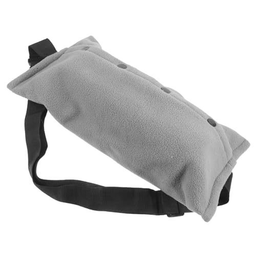 FRCOLOR Eidechsentasche bärtige Drachenschlinge Tasche mit Leine Handtaschen Canvas-Einkaufstasche Tragetasche für Reptilien Reise-Eidechsenleine draussen Tasche aus Leinen Tier von FRCOLOR