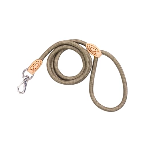 FRCOLOR Haustierleine für Aktive Hunde 1 cm Breit Nylon 1 25 M mit Leder Verbundenes Seil Robuster Clip Beige von FRCOLOR