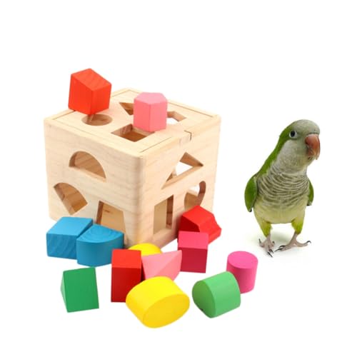 FRCOLOR Holzpuzzle Holzspielzeug Spielzeug zur Vogelsuche Spielzeuge Rätsel Papagei-Block-Spielzeug Papageienspielzeug Vögel Kleiner Papagei Vogelkäfig Puzzle Blöcke Protokoll von FRCOLOR