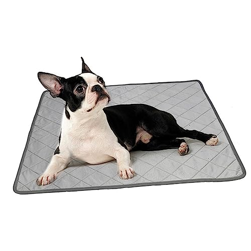 FRCOLOR Kühlmatte für Haustiere Fleecedecken für Haustiere Hund schlafmatte kühlpads kühlkissen Schlafkissen für Haustiere Haustier kühle Matte Sommer Urin-Pad Hundeunterlage von FRCOLOR