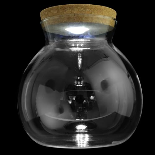 FRCOLOR Landschaftsflasche Hochzeitsdekoration Panzerdekor Milchbehälter LED-Glasflasche Glas-Container Blumenaquarium Glaskugel Fischflasche Glasflasche mit Holzdeckel Kork 3D Weiß Filter von FRCOLOR
