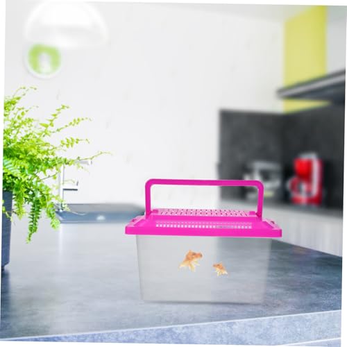 FRCOLOR Plastikschildkrötenfischbehälter Home -schildkröten-wohnbox Handaquarium Aus Kunststoff Kunststoff-Aquarium Lebensraum Für Die Goldfische Reptilienbecken Tierkäfig Füttern von FRCOLOR