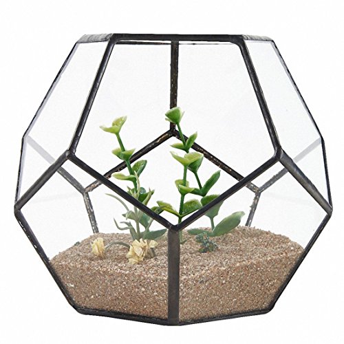 FREDY Pflanzgefäß aus schwarzem Glas, Pentagon, geometrisches Terrarium, Behälter, Fensterbank, Dekoration, Blumentopf, Balkon, Pflanzgefäß, DIY, Ausstellungsbox (ohne Pflanze) von FREDY