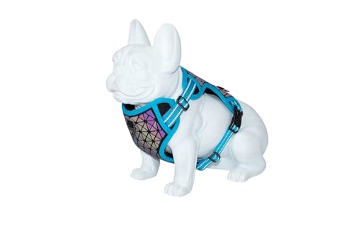 FREEDOG Boreale blau Capri 25 mm C 43/65 cm P 45/90 cm von Freedog