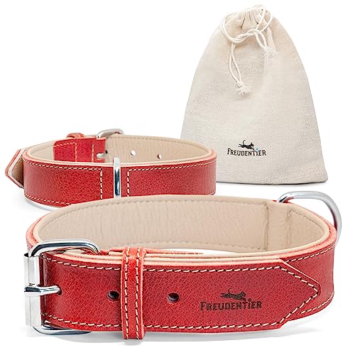 FREUDENTIER® Hundehalsband Leder, gefüttert & komfortabel, hochwertiges breites Lederhalsband aus Vollnarbenleder, Amstelpark Kollektion in Spicy Red (51.5-61.5cm Halsumfang, Rot) von FREUDENTIER