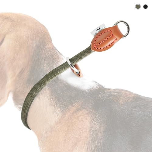 FREUDENTIER® Zugstopp Halsband Hunde - Retriever Halsband - Hundehalsband Zugstopp für kleine, mittelgroße & große Hunde (Waldgrün, L) von FREUDENTIER