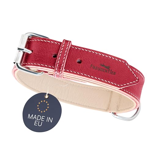 FREUDENTIER Hundehalsband Leder, gefüttert & komfortabel, hochwertiges breites Lederhalsband aus Vollnarbenleder, Amstelpark Kollektion in Spicy Red (42-52cm Halsumfang, Rot) von FREUDENTIER