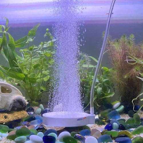 FRIRODSAY Aquarium-Luftstein für Aquarien, kleiner Sauerstoffstein, leise, hochauflösender Sauerstoff, Diffusor-Kit für Aquarium, Hydrokultur von FRIRODSAY