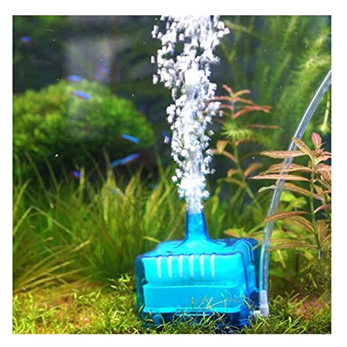 FRIRODSAY Fish Tank Filter Aquarium Schwamm Filter leise klein für 1-20 Gallonen Aquarien abnehmbar mit Aktivkohle und Luftstein von FRIRODSAY