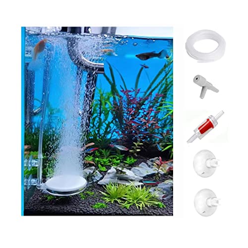 FRIRODSAY Luftsteine für Aquarien Aquarium Bubbler Kit Ultra Silent High Dolved Aquarium Nano Air Stone von FRIRODSAY