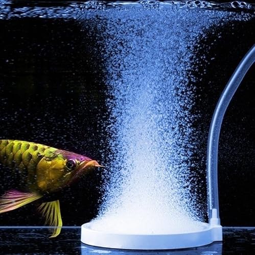 FRIRODSAY Nano-Ausströmstein für Aquarien, Diffusor mit hohem gelöstem Sauerstoff, 10,2 cm, leiser Aquarium-Bubbler für Aquarium und Hydrokultur (8 cm Luftsteine mit Zubehör) von FRIRODSAY