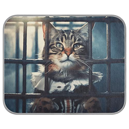 FRODOTGV Cat Judge Locked Up Pet Cool Blanket Summer Reusable Cooling Mat Pets Dogs Ice Cool Pads Cooling Sleeping Pad,Small von FRODOTGV